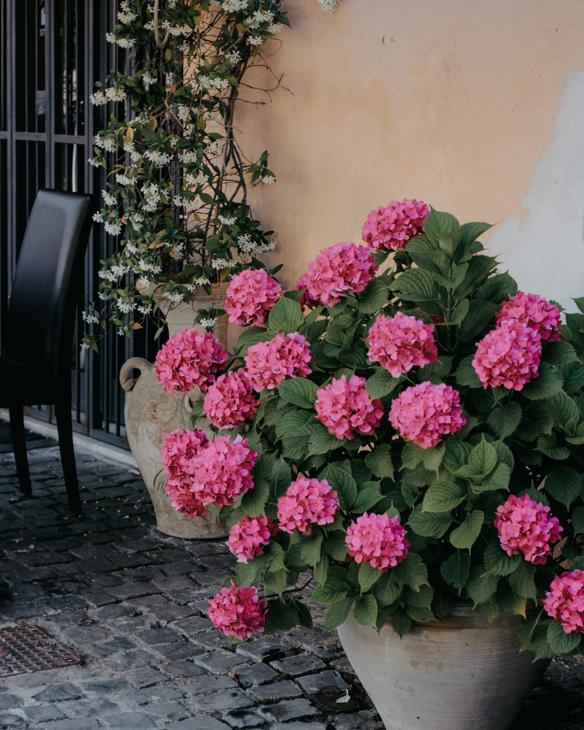 outdoor planter ideas with pink hydrangeas in a large planter on a patio