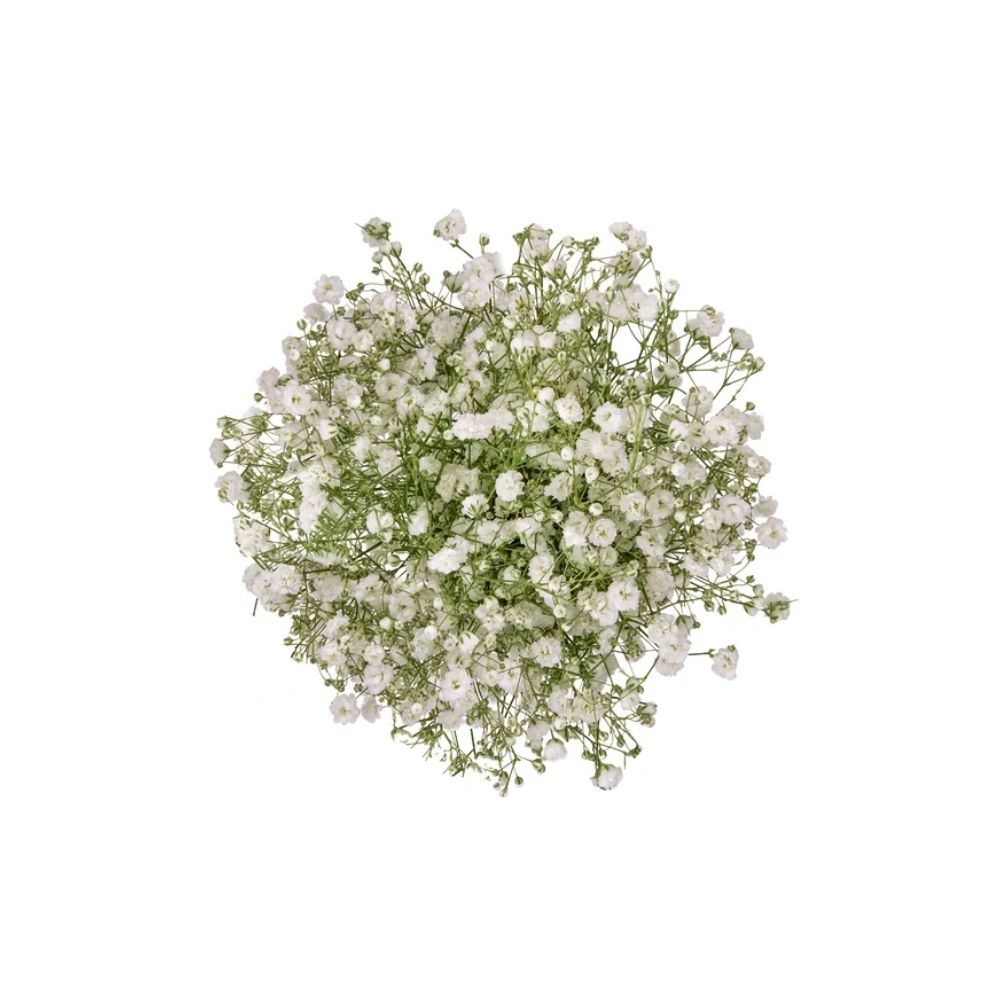 Fresh baby’s breath flowers used as soft filler in a pink bloom gift basket arrangement.